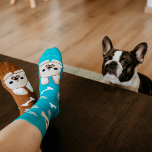 Veselé ponožky Buldog