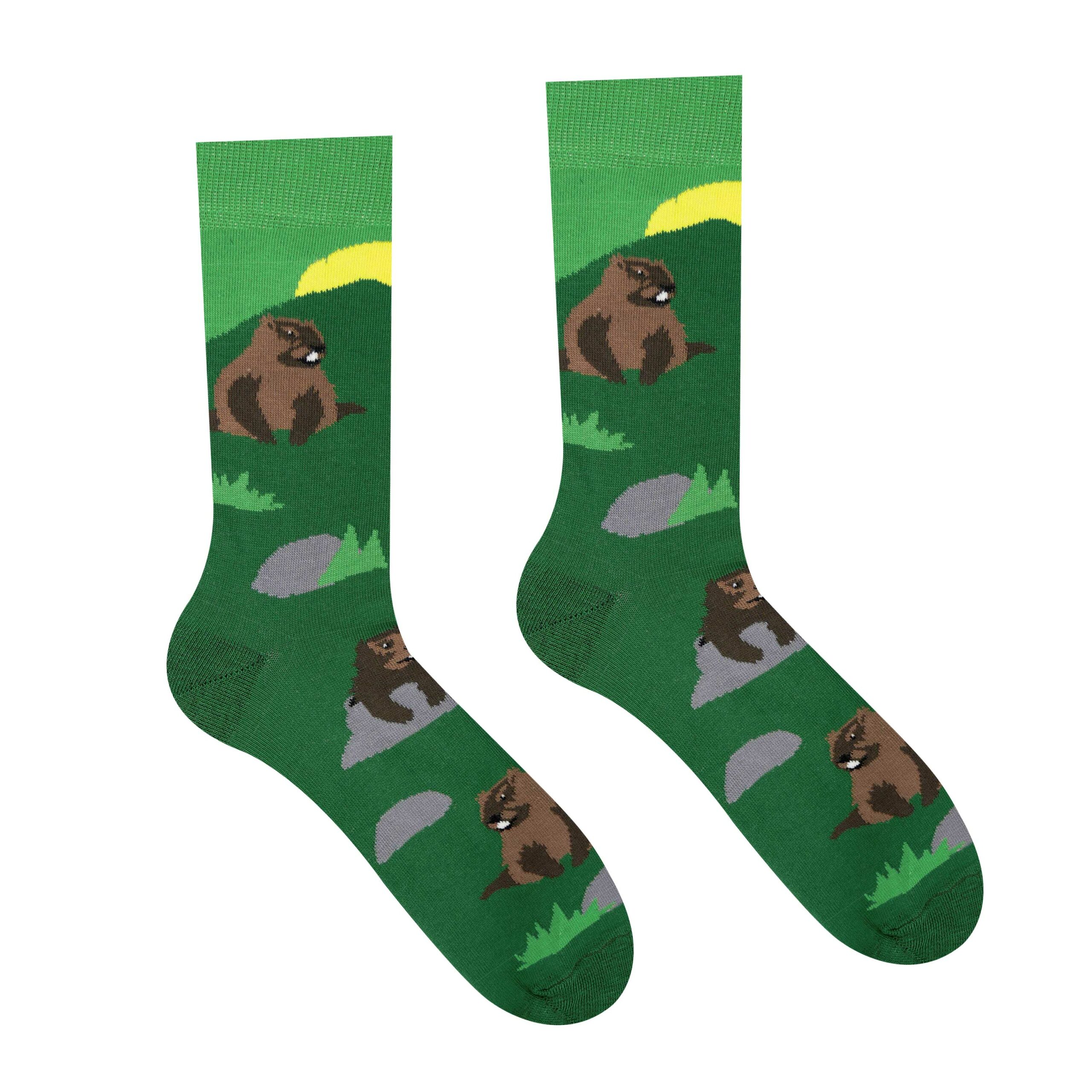 Veselé ponožky Svišť